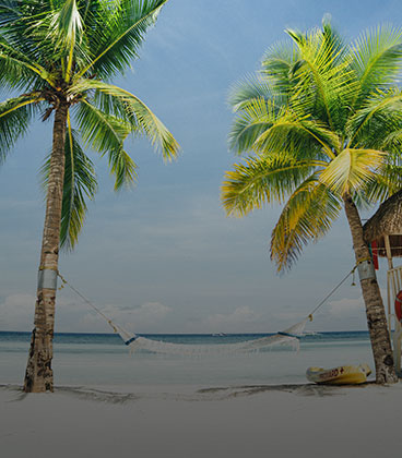 Vacaciones en la Playa con palmeras y hamaca